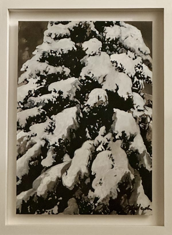 Joakim Allgulander - Snow drenched branches, 2015