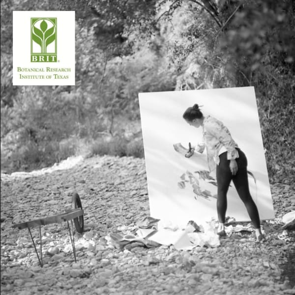 View LIVE Painting | Erika Huddleston