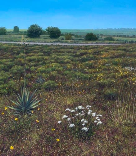 Painting in the Texas Tradition: Contemporary Texas Regionalism