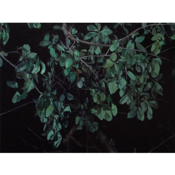 Healing- Mihee Nahm at Artspace 111 in Ft. Worth