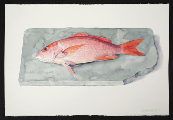 Carol Ivey, Red Snapper, 2019. Watercolor on paper, 15 x 22″