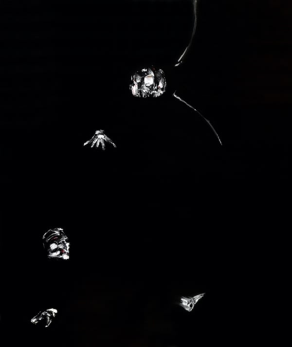 Lorenzo Puglisi La Misericordia