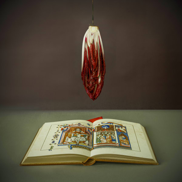 Jeff Robb Radicchio, Religious Book (Radicchio, Libro Religioso), 2024 Lenticular Photography 100 x 100 cm 39.37 x 39.37 in 12 plus 3 AP
