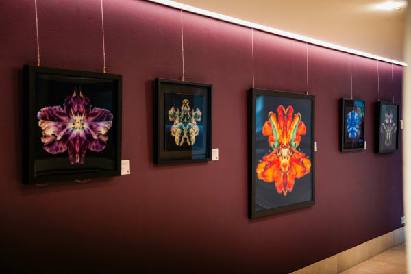 Courtesy of Avani Rio Novo Venice Hotel