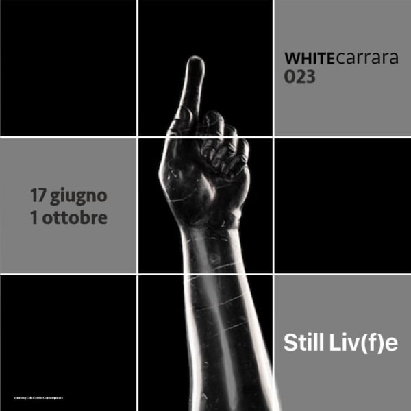 WHITE CARRARA 2023 | STILL LIVE(F)E | MARMO VIVO