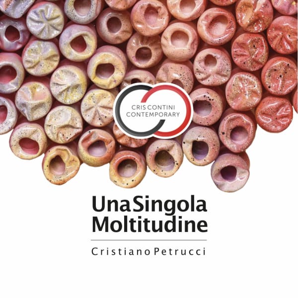 CRISTIANO PETRUCCI | UNA SINGOLA MOLTITUDINE IL SALOTTO DI MILANO