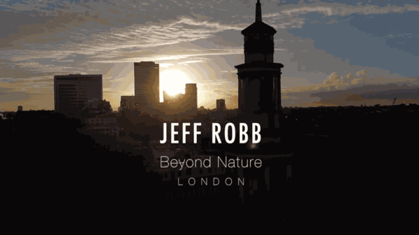 JEFF ROBB | BEYOND NATURE