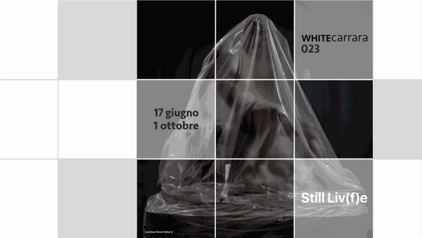 WHITE CARRARA 2023 | STILL LIVE(F)E | MARMO VIVO