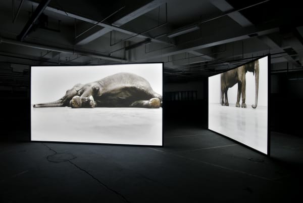 HERE TODAY... The Sorting Office Holborn, London, in support of The IUCN, 2014