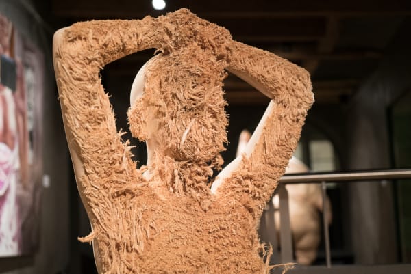 Reddesert Artveras Geneve 2016 Photo 27