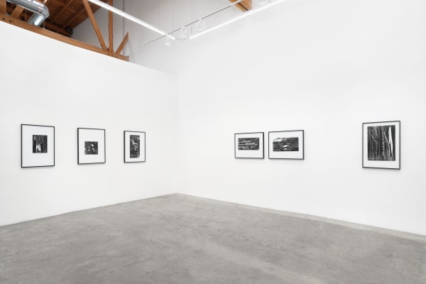 2025 07 07 Baert72817