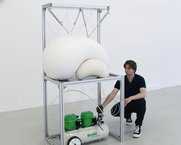 Harrison Pearce - Maladapted (Arch II), 2019