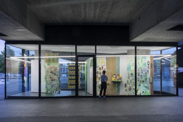 Installation view of the exhibition “The Tenderness of Insects“, Basel, Switzerland