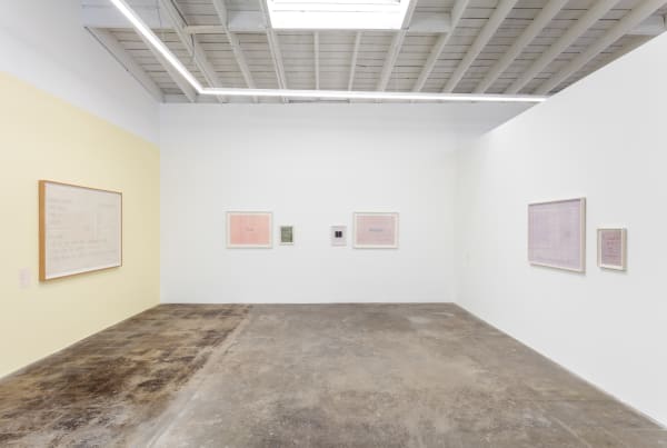 Installation view of the exhibition "Paolo Colombo", Baert Gallery, Los Angeles