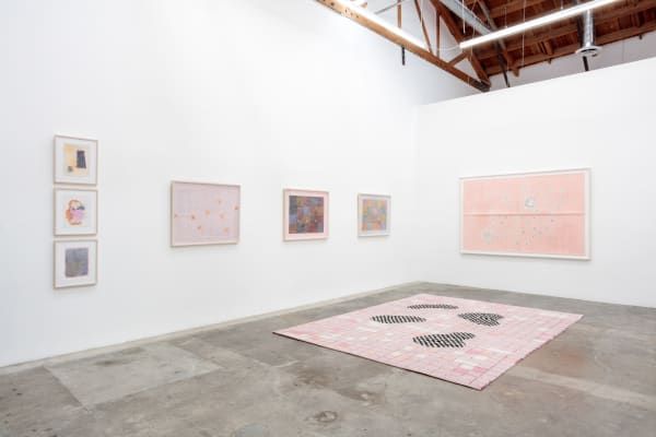 Installation view. Paolo Colombo at Baert Gallery, 2021, courtesy of Christian Baert