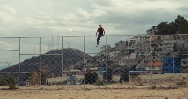 Todd Tourso, Testify