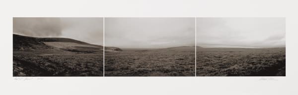 David Caras, Untitled I, 2002