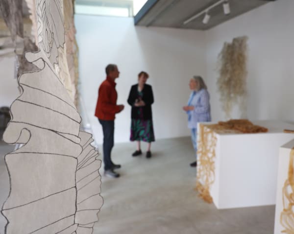 Thicket | Gail Meyer Grinnell The Ballinglen Museum of Art