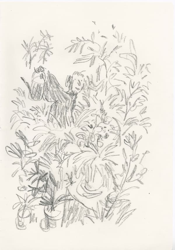 In Praise of Potted Plants #16, 2019 SOLD