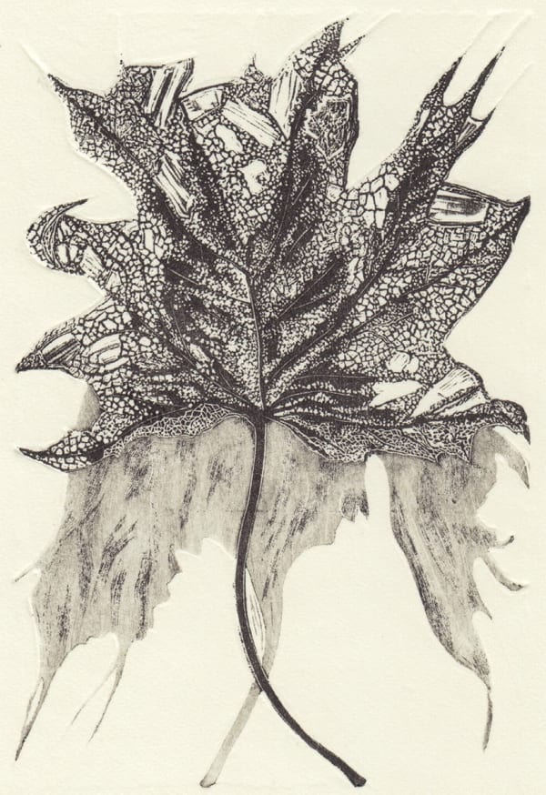 Hannah Baker Skeleton Leaf