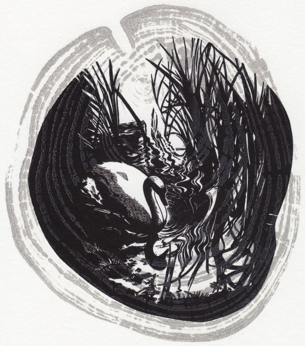 Blaze Cyan The Swan, Surrey