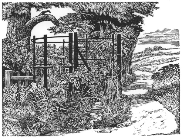 Bypass - Ian Corfe-Stephens