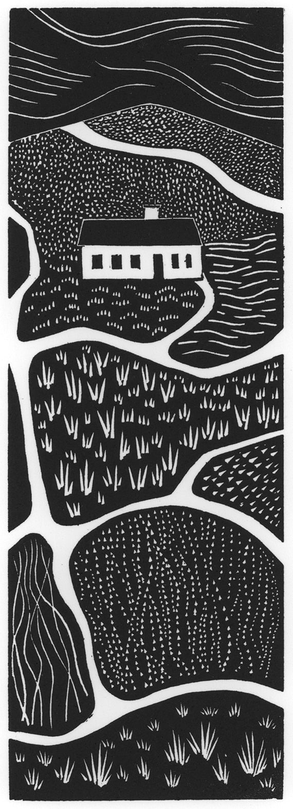 Cae Coch - Richard Farmer