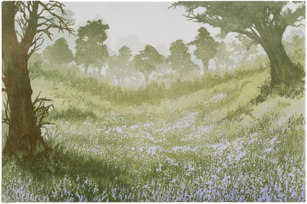 Laura Boswell ARE, Carstramon Bluebells