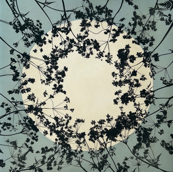 Printmaking Live in the Gallery