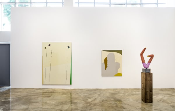 Looking and Seeing, 2019, Installation View, Barakat Contemporary