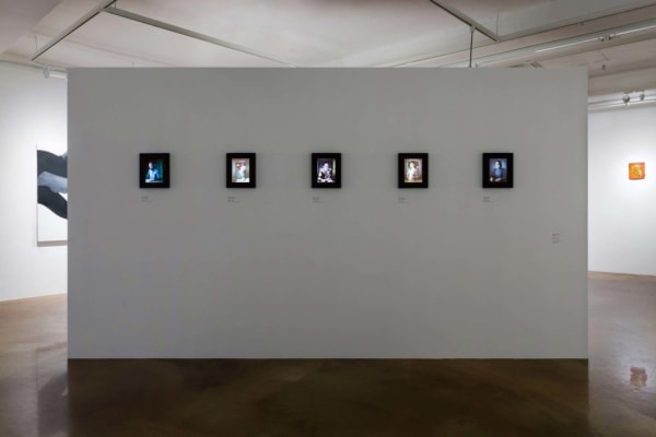 The Absence of Paterfamilias, 2017, Installation View, Barakat Contemporary