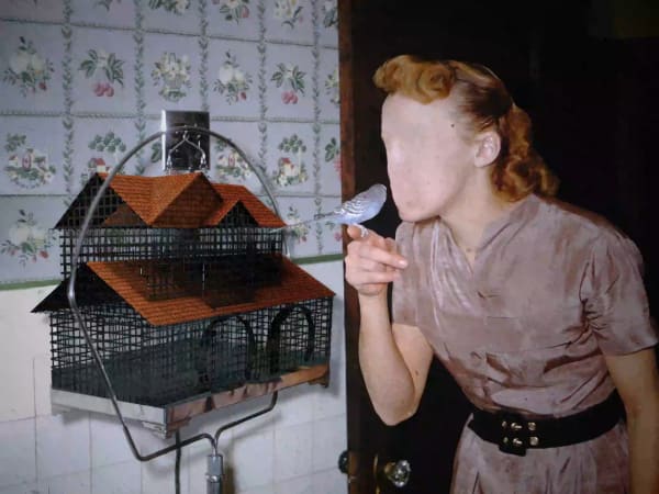 The Archivist (Capsule), 2022 Interactive 60-channel video loop, HTML on closed-circuit (still image)