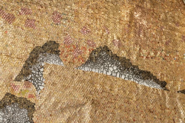 엘 아나추이: 부유하는 빛