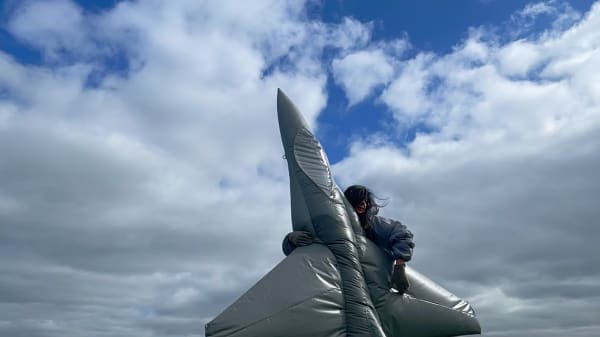 Fiona Banner aka The Vanity Press - Pranayama Typhoon, Interview