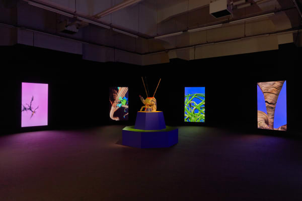 Installation views of ???????????????????? ???????? ???????????? ???????????????????????? ???????? ????????????????, WIELS, Brussels, 2023 © We Document Art