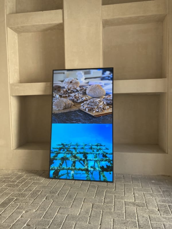 Pratchaya Phinthong, We are lived by powers we pretend to understand, 2024. Image courtesy of Barakat Contemporary