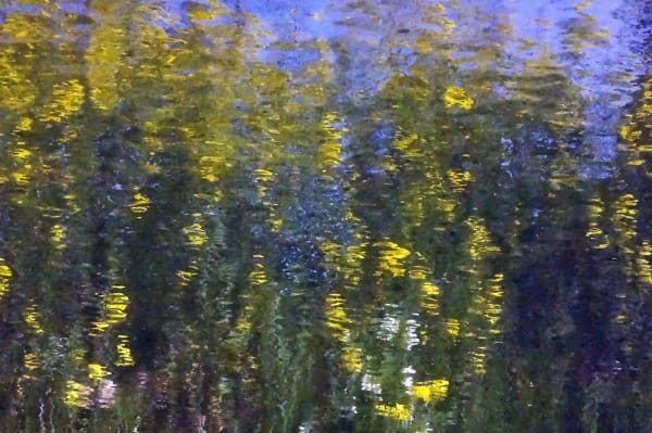 Kitty Chou,Yellow, Green & Violet #1, 2014