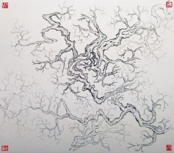 Arnold Chang, Omni-directional Trees, 2014