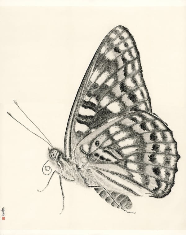 Zhang Yirong, Butterfly II, 2014