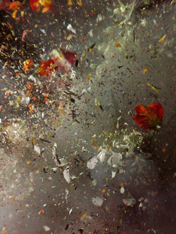 Ori Gersht, still from Big Bang, 2006