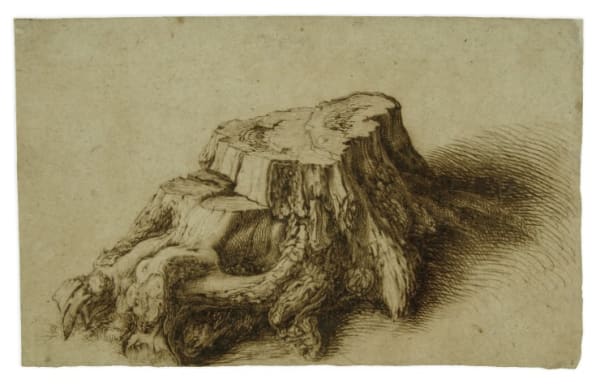 The Carters' oak grove consists of nine identical tree stumps, fabricated in bronze, which take as their starting point Jacob...