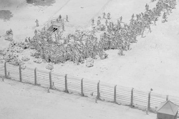 Auschwitz Model, 2000 - 2022