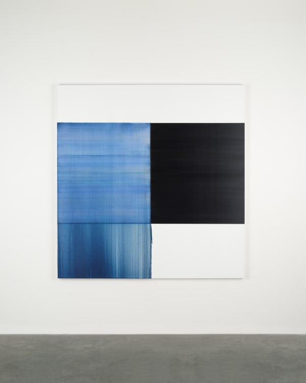 Callum Innes