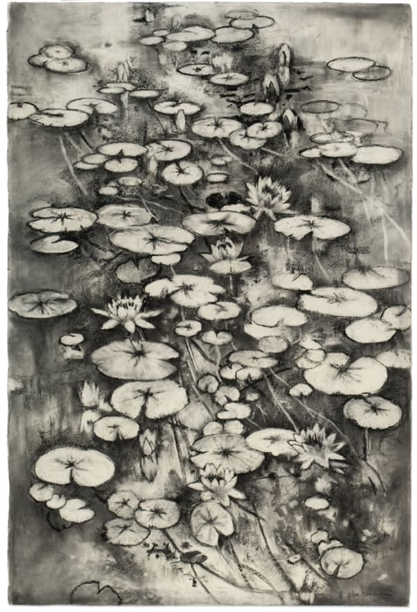John Alexander My Pond in Black and White, 2016 Charcoal on paper 60 x 40 inches 152.4 x 101.6 cm