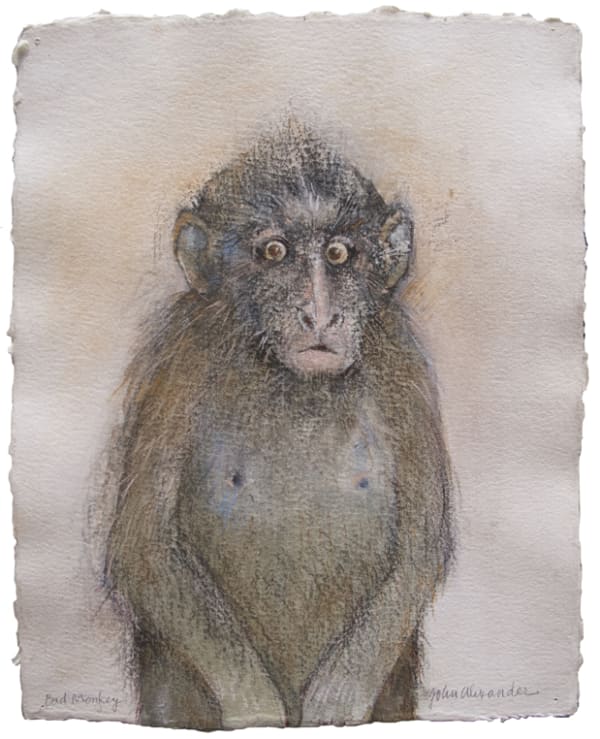 John Alexander Bad Monkey, 2016 Charcoal and pastel on paper 14 1/4 x 11 1/4 inches 36.2 x 28.6 cm
