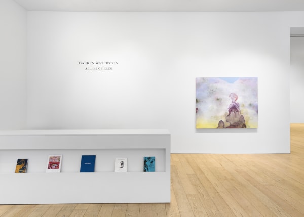 Darren Waterston: A Life in Fields, Exhibition Introduction