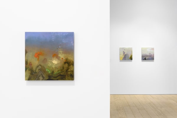 Darren Waterston: A Life in Fields, Virtual Tour