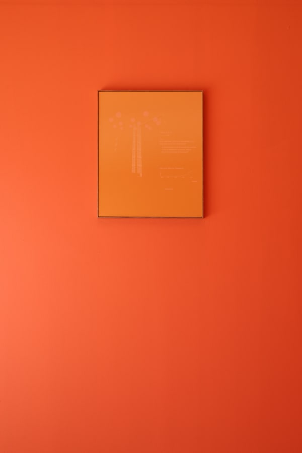 Alex Dav Haus Of Vovo 23 Lowres