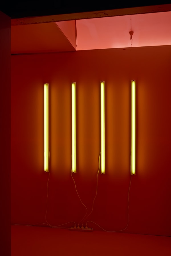 Alex Dav Haus Of Vovo 33 Lowres