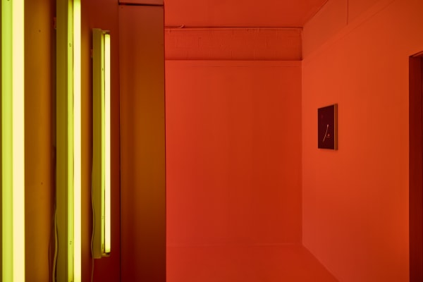 Alex Dav Haus Of Vovo 39 Lowres